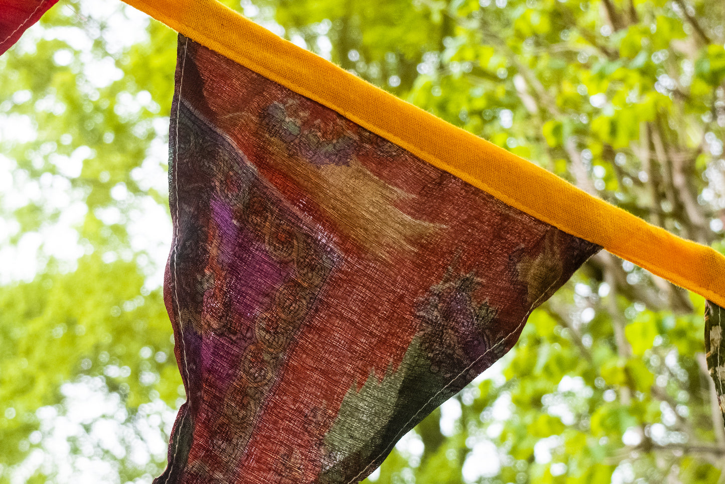 Vibrant Flags Garland