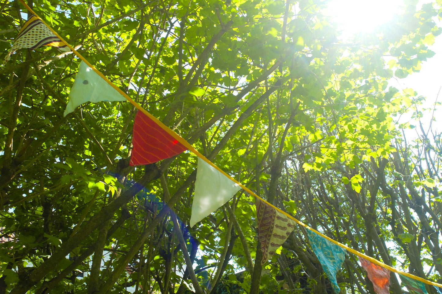 Vibrant Flags Garland