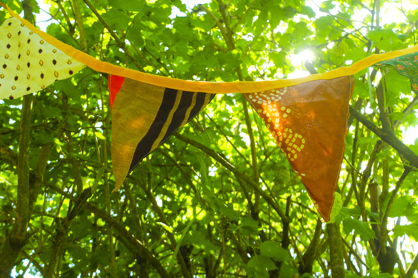 Vibrant Flags Garland