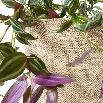 Handwoven Hemp Plant Pot Cover