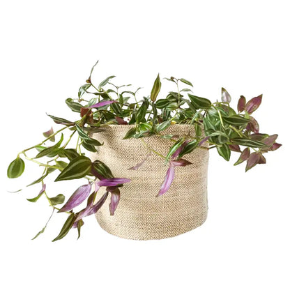 Handwoven Hemp Plant Pot Cover