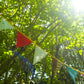 Vibrant Flags Garland